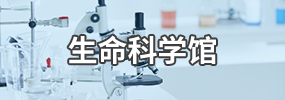 87978797威尼斯生命科学博物馆